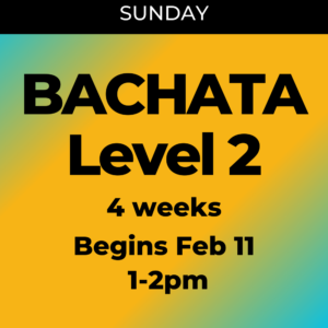bachata-level-2-jaguar-dance-product-image